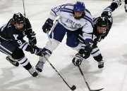 熊猫体育互动-魔术封锁森林狼，范弗利特成为关键先生