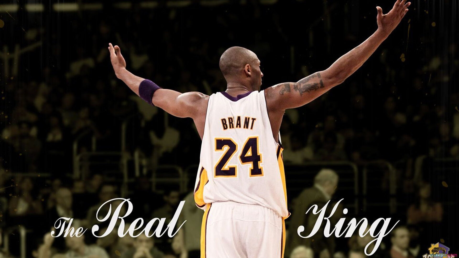 赛道上的逆袭，索伯车队力克迈凯伦，塞恩斯带队取胜